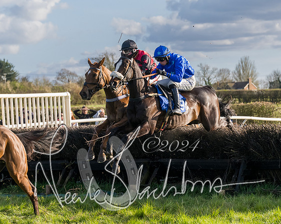 Race 6 - Goffs Young Horse Maiden (48 of 119)