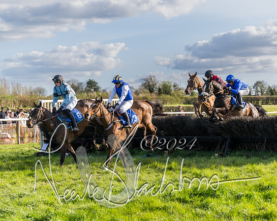 Race 6 - Goffs Young Horse Maiden (46 of 119)