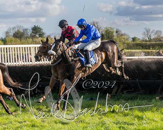 Race 6 - Goffs Young Horse Maiden (49 of 119)