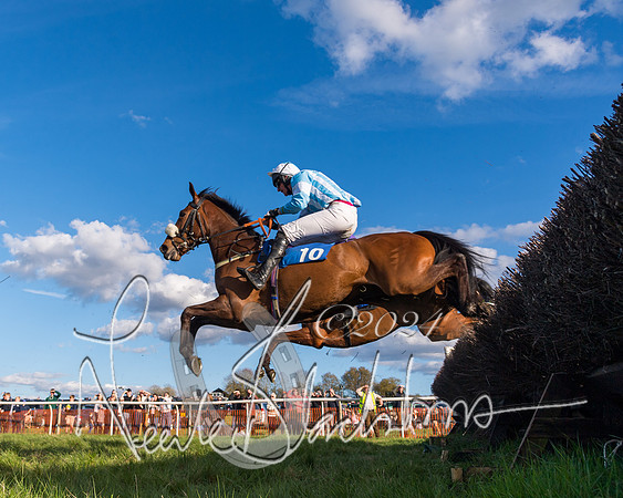 Race 6 - Goffs Young Horse Maiden (51 of 119)