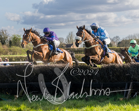 Race 6 - Goffs Young Horse Maiden (52 of 119)