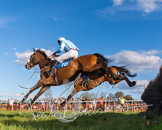 Race 6 - Goffs Young Horse Maiden (53 of 119)