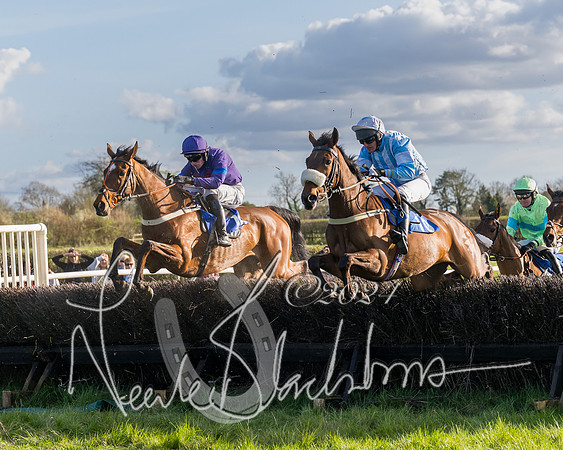 Race 6 - Goffs Young Horse Maiden (55 of 119)