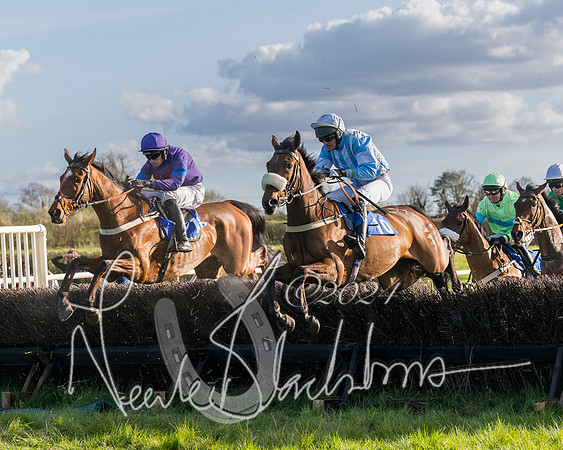 Race 6 - Goffs Young Horse Maiden (56 of 119)