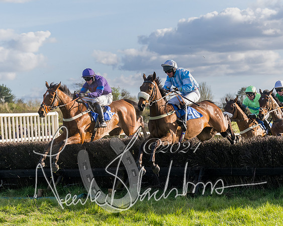 Race 6 - Goffs Young Horse Maiden (57 of 119)