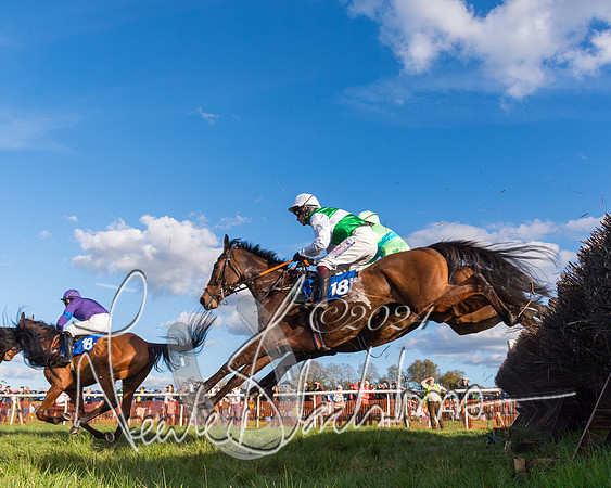 Race 6 - Goffs Young Horse Maiden (60 of 119)