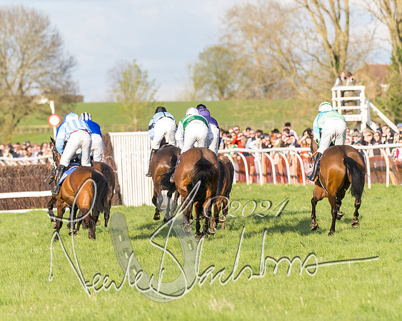 Race 6 - Goffs Young Horse Maiden (62 of 119)