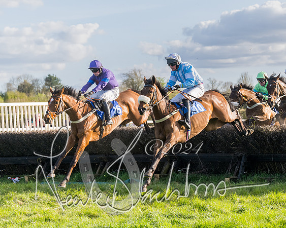 Race 6 - Goffs Young Horse Maiden (59 of 119)