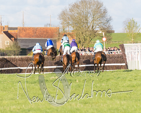 Race 6 - Goffs Young Horse Maiden (63 of 119)