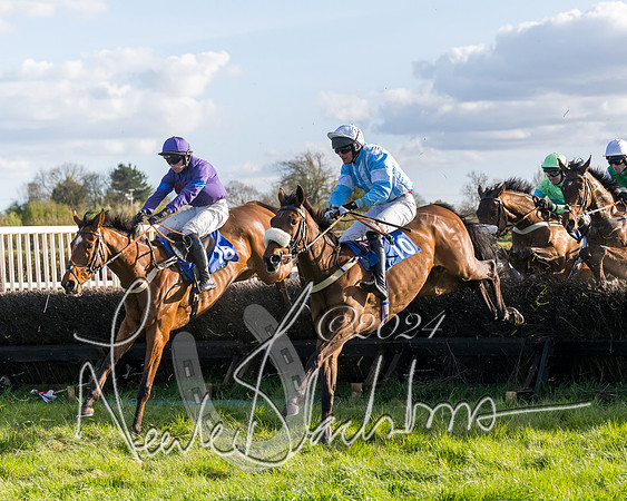 Race 6 - Goffs Young Horse Maiden (61 of 119)