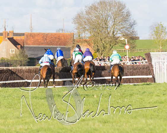Race 6 - Goffs Young Horse Maiden (64 of 119)