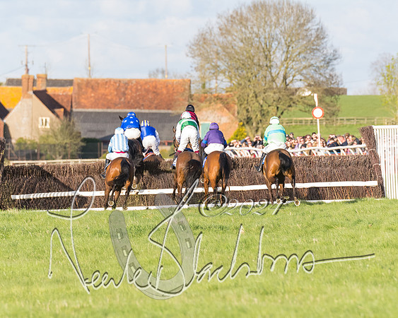 Race 6 - Goffs Young Horse Maiden (65 of 119)