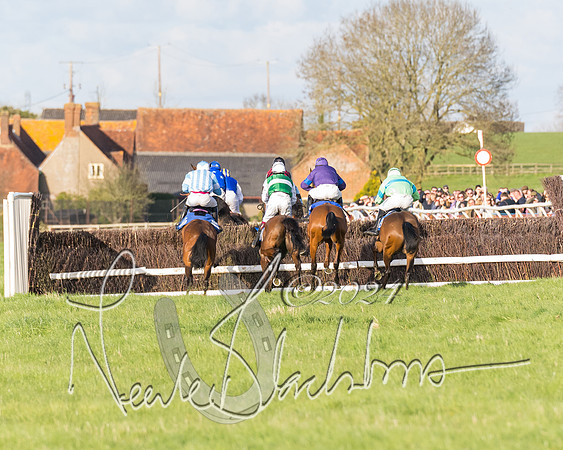 Race 6 - Goffs Young Horse Maiden (66 of 119)