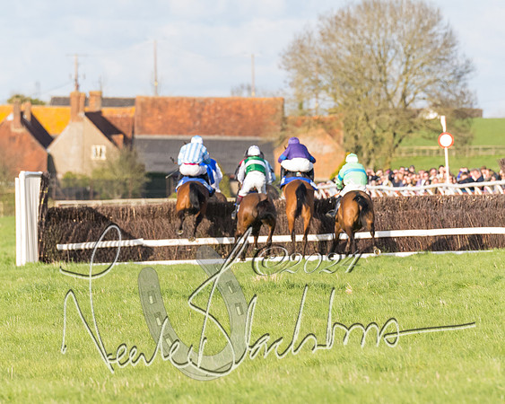 Race 6 - Goffs Young Horse Maiden (67 of 119)