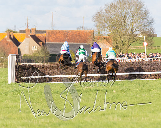 Race 6 - Goffs Young Horse Maiden (68 of 119)