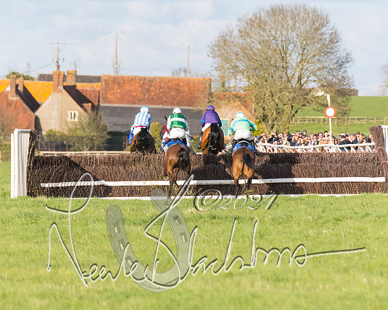 Race 6 - Goffs Young Horse Maiden (69 of 119)
