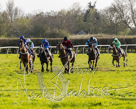 Race 6 - Goffs Young Horse Maiden (71 of 119)
