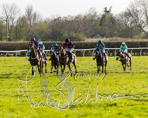 Race 6 - Goffs Young Horse Maiden (72 of 119)
