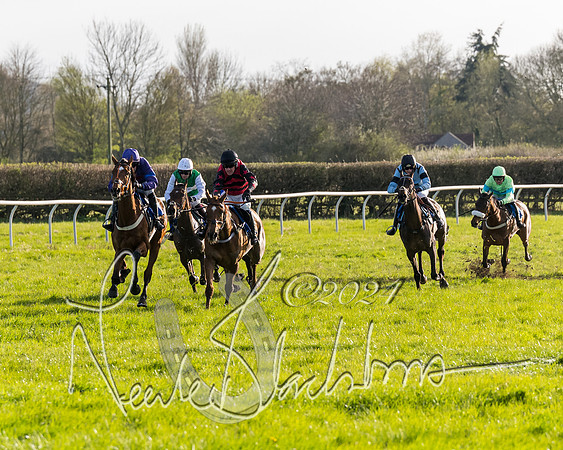 Race 6 - Goffs Young Horse Maiden (73 of 119)