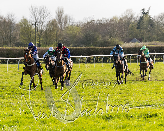 Race 6 - Goffs Young Horse Maiden (74 of 119)