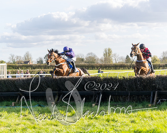 Race 6 - Goffs Young Horse Maiden (77 of 119)