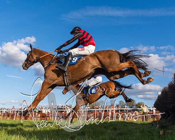 Race 6 - Goffs Young Horse Maiden (78 of 119)