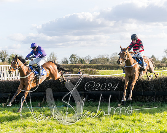 Race 6 - Goffs Young Horse Maiden (80 of 119)