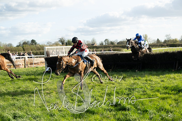 Race 6 - Goffs Young Horse Maiden (82 of 119)