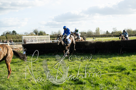 Race 6 - Goffs Young Horse Maiden (83 of 119)