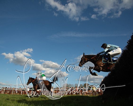 Race 6 - Goffs Young Horse Maiden (86 of 119)