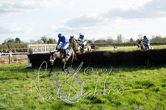 Race 6 - Goffs Young Horse Maiden (84 of 119)