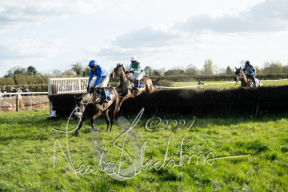 Race 6 - Goffs Young Horse Maiden (85 of 119)