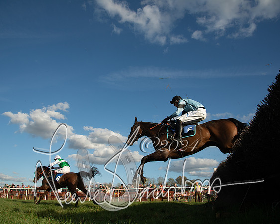 Race 6 - Goffs Young Horse Maiden (88 of 119)