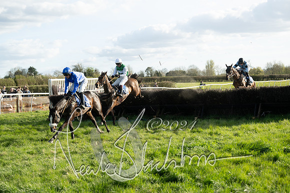 Race 6 - Goffs Young Horse Maiden (87 of 119)
