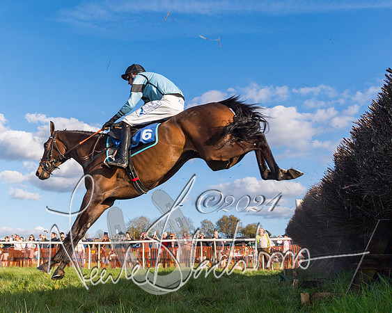 Race 6 - Goffs Young Horse Maiden (89 of 119)