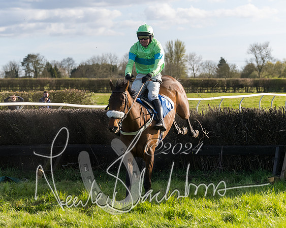 Race 6 - Goffs Young Horse Maiden (91 of 119)
