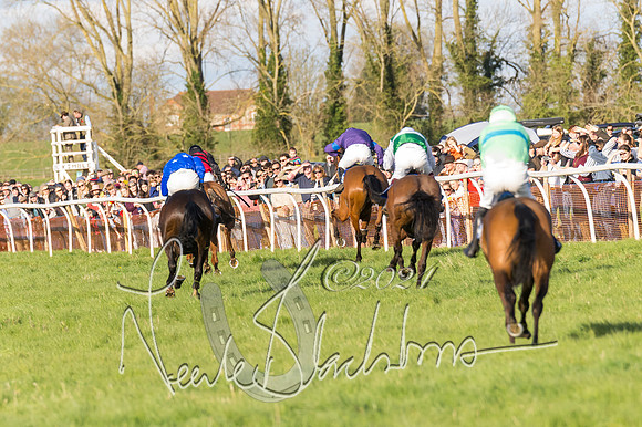 Race 6 - Goffs Young Horse Maiden (92 of 119)