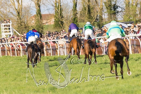 Race 6 - Goffs Young Horse Maiden (93 of 119)