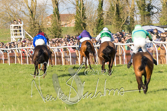 Race 6 - Goffs Young Horse Maiden (94 of 119)