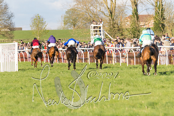 Race 6 - Goffs Young Horse Maiden (95 of 119)