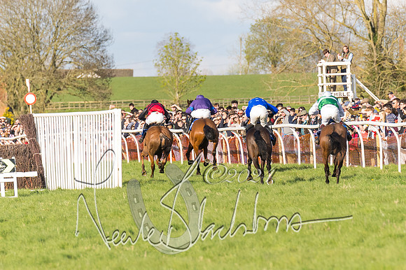 Race 6 - Goffs Young Horse Maiden (96 of 119)