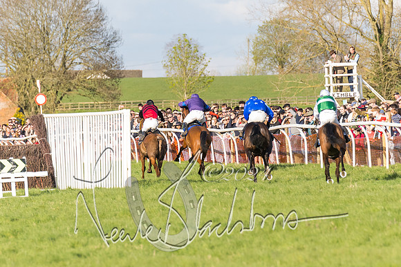 Race 6 - Goffs Young Horse Maiden (97 of 119)