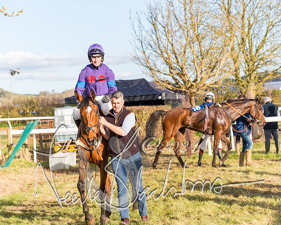 Race 6 - Goffs Young Horse Maiden (99 of 119)