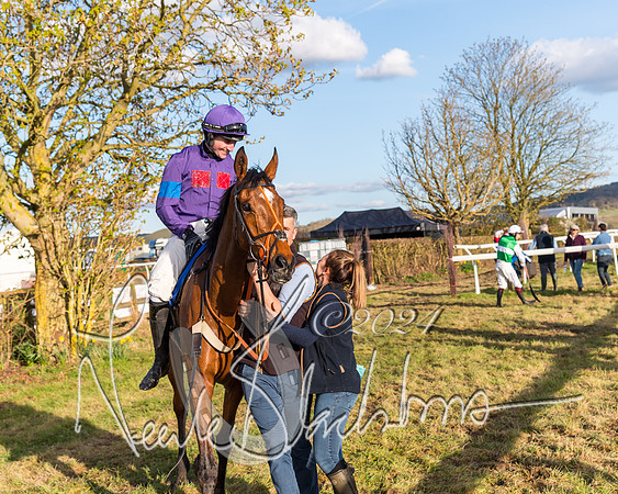 Race 6 - Goffs Young Horse Maiden (100 of 119)