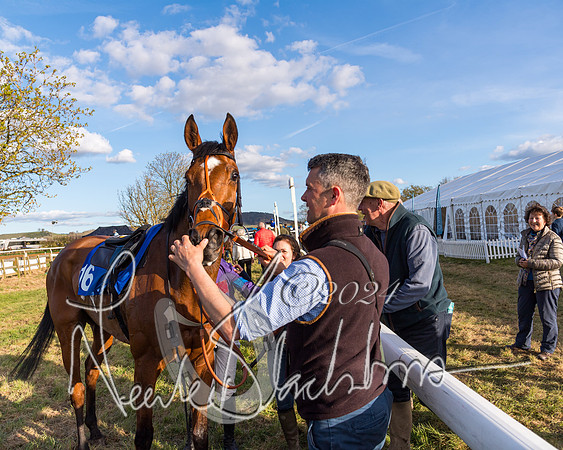 Race 6 - Goffs Young Horse Maiden (101 of 119)