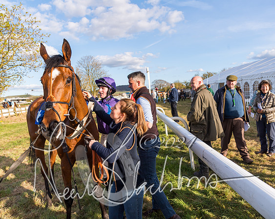 Race 6 - Goffs Young Horse Maiden (103 of 119)