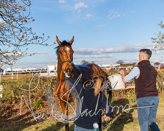 Race 6 - Goffs Young Horse Maiden (104 of 119)