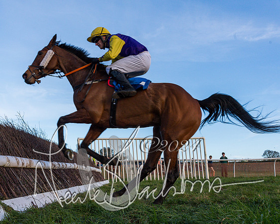 Race 7 - Hunt Members (43 of 80)