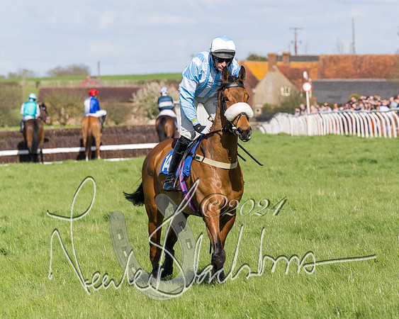 Race 2 - Maiden Race  (1 of 102)