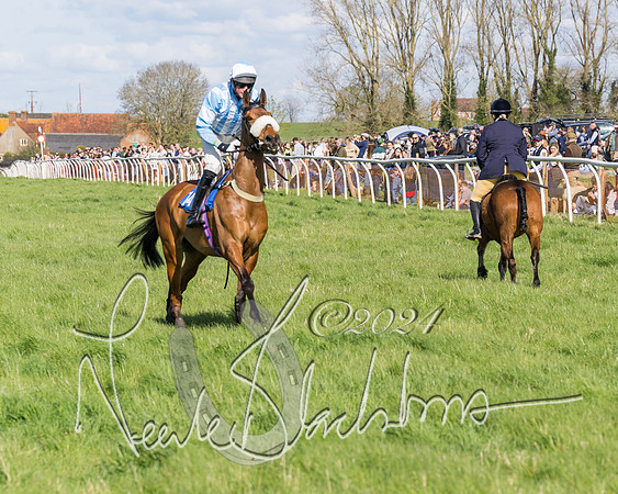 Race 2 - Maiden Race  (2 of 102)
